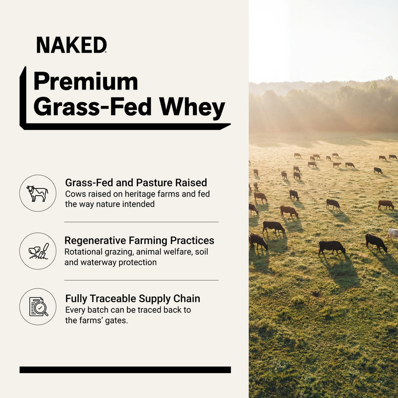 Chocolate Whey Protein Powder 1lb - Chocolate
